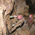 5c8a9885230000dd04234ca3