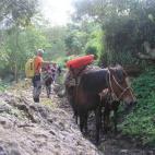 5c8a98832400004205a347a6