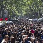 5c8b7aef3b000002076db034