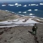 Vistas pingüineras.