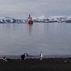 5c8ab83620000043046f9d7f