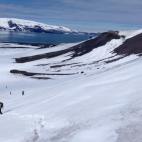 5c8ab8372300007f012392e0