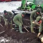 5c8ab83820000045046f9d87