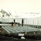 5c8b3643240000f7054d1fe6