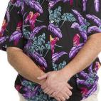 5c8b609a3b000054066d6e76