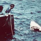 La bestia que ataca Amity Island es mucho más grande que un tiburón blanco normal, mucho más hambriento y mucho más malvado. Parece tener voluntad maligna y perseguir a Brody y su familia y después al Orca, siempre detrás de los protagonis...