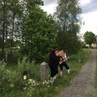 Fiesta organizada por el solsticio de verano.