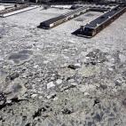 5c8b1ca9230000d504242216