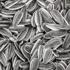 Por ser ricas en zinc (para reducir los niveles de cortisol), magnesio (para facilitar la relajaci&oacute;n y el sue&ntilde;o) y vitamina E (que reduce el estr&eacute;s oxidativo en el cerebro).