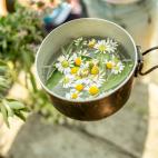 Contribuye al buen funcionamiento intestinal y al buen humor.