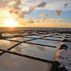 5c8a9a06360000c81a6bae8c