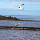 5c8a9a0724000093024c0fde