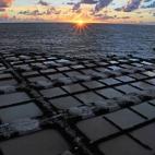 5c8a9a092500005206815a75