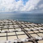 5c8a9a052000009d036f5ce4