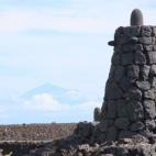 5c8a9a0b230000dd04235026