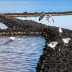 5c8a9a0a2400000a05a34b2b