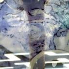 5c8b1c612300003000e79846