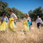 Otro momento de la recogida, bolsas amarillas en mano.