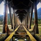 5c8b8138360000e01c6d4082