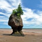 Esta bahía, de más de 250 kilómetros de largo, es famosa por sus altas mareas de más de 20 metros de altura. Sin embargo, cuando la marea está baja, se puede pasear entre impresionantes formaciones rocosas en el Parque de Hopewell Rocks. ...
