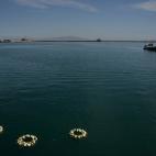 5c8b41492500000d04ca61cd