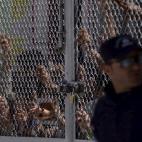 5c8b415622000051001a9fba