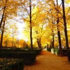 Los colores otoñales con los que se tiñen los Jardines de Aranjuez son toda una experiencia de cromoterapia en la que te sumergirás en tonos ocres, rojos, verdes… El plan perfecto para olvidar la estresante rutina y conocer Aranjuez en una ...