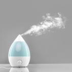 Los humidificadores deben limpiarse regularmente para eliminar el moho y la suciedad que se suele acumular en el tanque de agua y alrededor de las otras piezas, asegura Albert Lee, fundador del sitio web Home Living Lab. &ldquo;La manera m&aacut...
