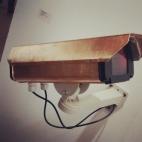 -f-xt-xt-x, Addie Wagenknecht