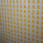 Y sliding, Marco Maggi