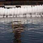 5c8b78e422000051001aff08