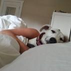 5c8b2400230000d50424376b