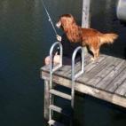 5c8b2400230000d50424376f