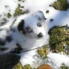 5c8b24012400004205a43217