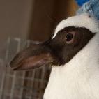 5c8b2403230000d504243779