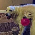 5c8b24033b000070066d138d