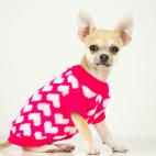 Su reducida constituci&oacute;n y el hecho de provenir de una zona c&aacute;lida (M&eacute;xico) les dificulta resistir a las bajas temperaturas. Tampoco soporta bien la humedad ni la lluvia.