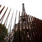 5c8a44433b000054066bc215