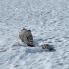 5c8b37ba2500001304ca539a