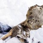 5c8b37bb2500001304ca539e