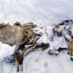 5c8b37bb2400006b054d2337