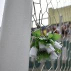 5c8b128222000051001a36b0