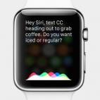 5c8a9e3a360000ba1a6bb66b