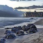 5c8b16f023000004012413a4