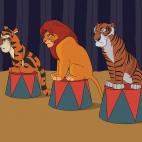 5c8a3f6f260000e104fe1977