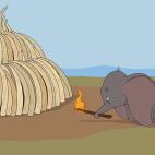 5c8a3f6f360000c81a6b39cd