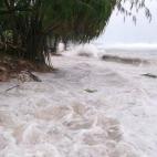 5c8a9f882000009d036f67d3