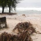 5c8a9f882400006f054c1b85