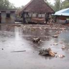 5c8a9f8824000093024c1b87