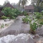 5c8a9f892400006f054c1b8a